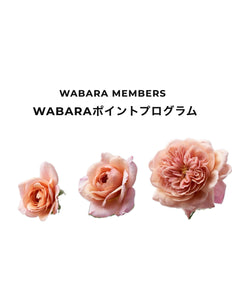 WABARA MEMBERS｜WABARAポイントプログラム