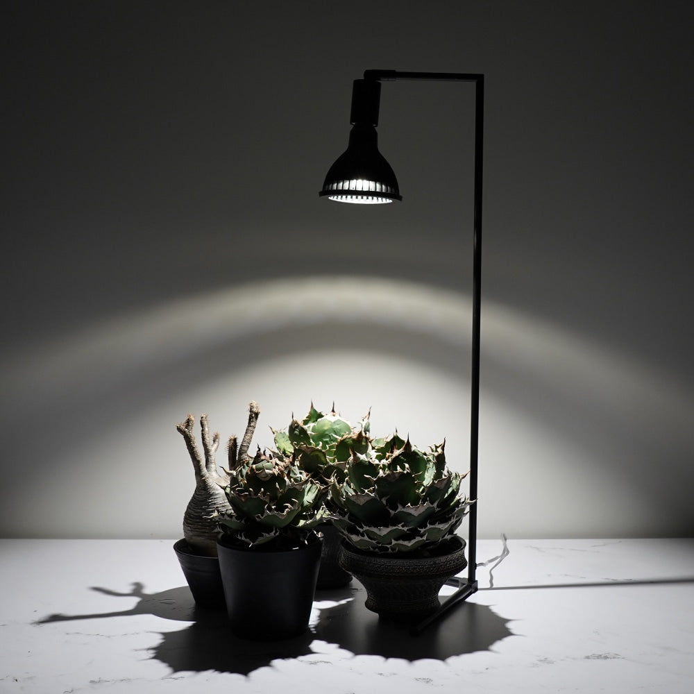 NEO AMATERAS 20W、AKONDデスクスタンド フロアスタンドSET 植物育成ライト用フロアースタンド（ネオアマテラス用：74cm