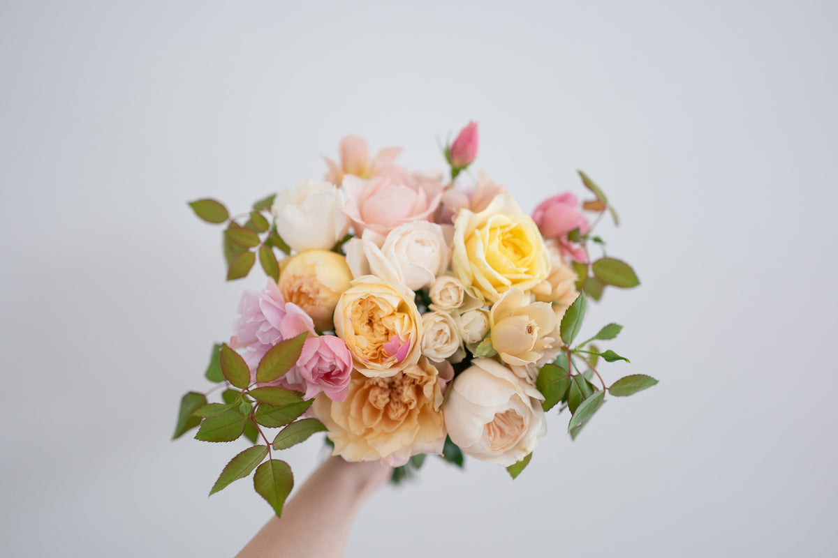 🌞本数UP中🌞】【7月1日〜31日お届け限定】Monthly Bouquet 七月
