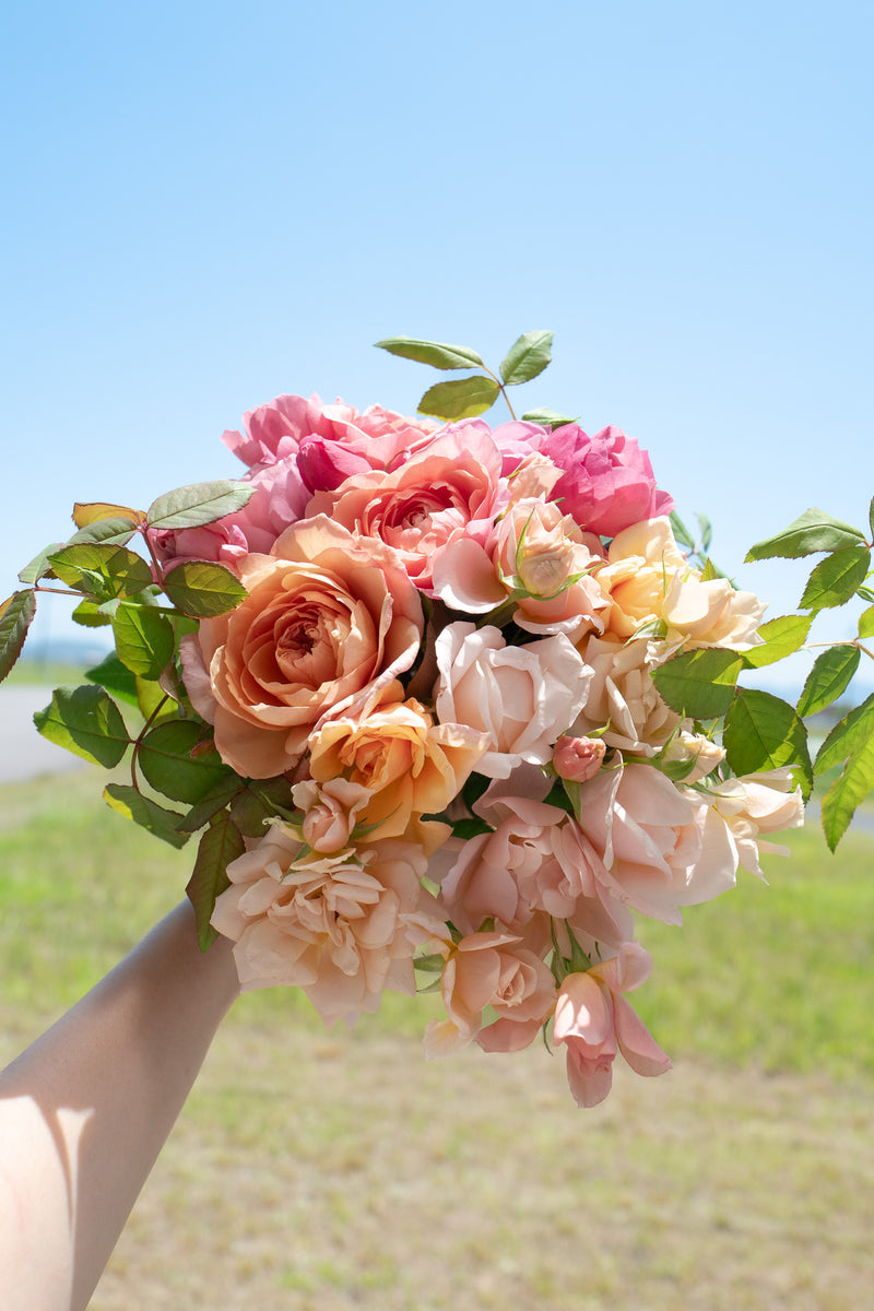 🌞本数UP中🌞】【7月1日〜31日お届け限定】Monthly Bouquet 七月