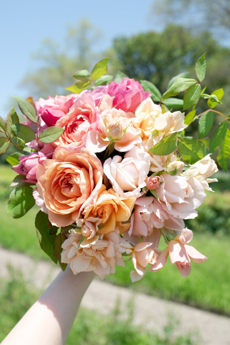 🌞本数UP中🌞】【8月1日〜31日お届け限定】Monthly Bouquet 八月 緑陰