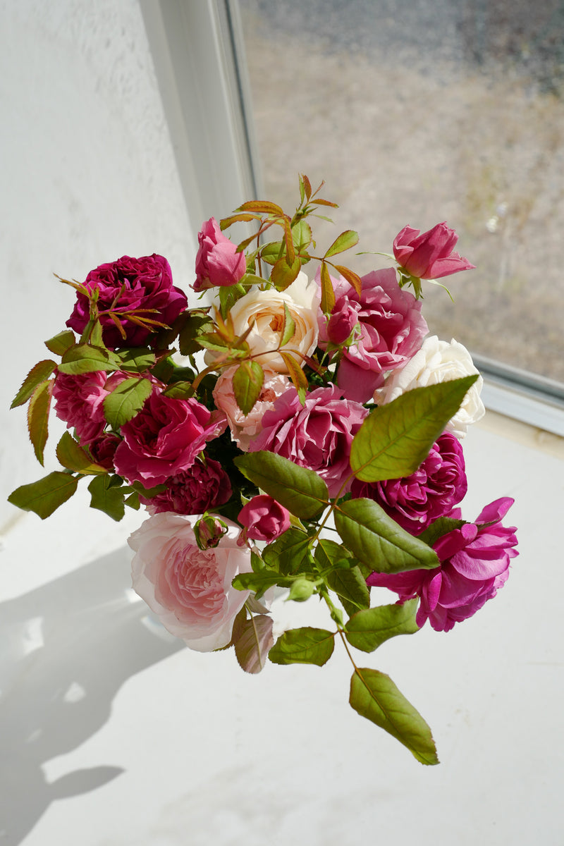 11月1日〜30日お届け限定】Monthly Bouquet 十一月 耕すブーケ 01