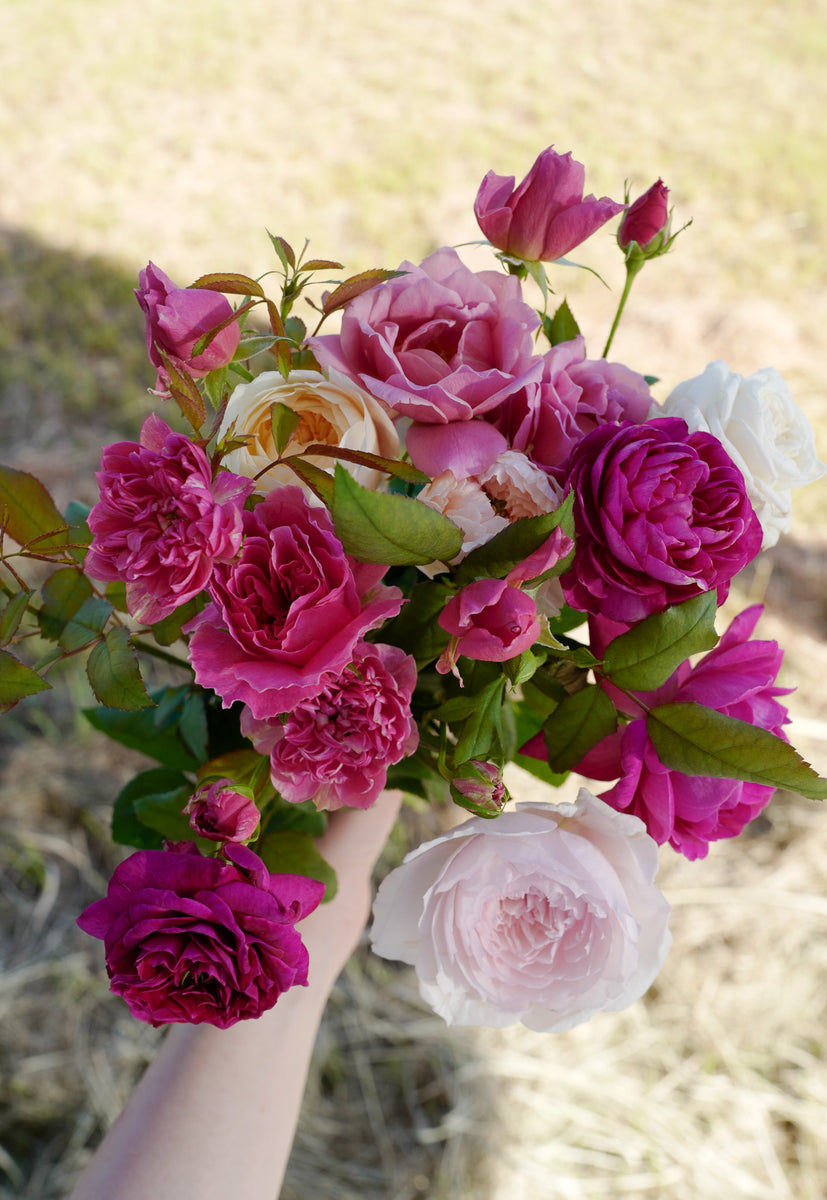 11月1日〜30日お届け限定】Monthly Bouquet 十一月 耕すブーケ 01