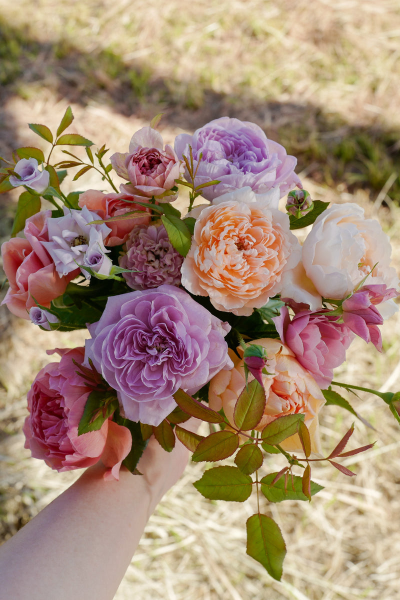 11月1日〜30日お届け限定】Monthly Bouquet 十一月 耕すブーケ