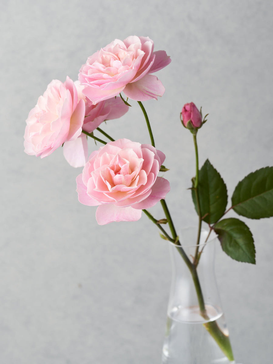 手毬 手鞠 てまり 刺繍薔薇の花束 No167ハンドメイド 158124761_o2.jpg?