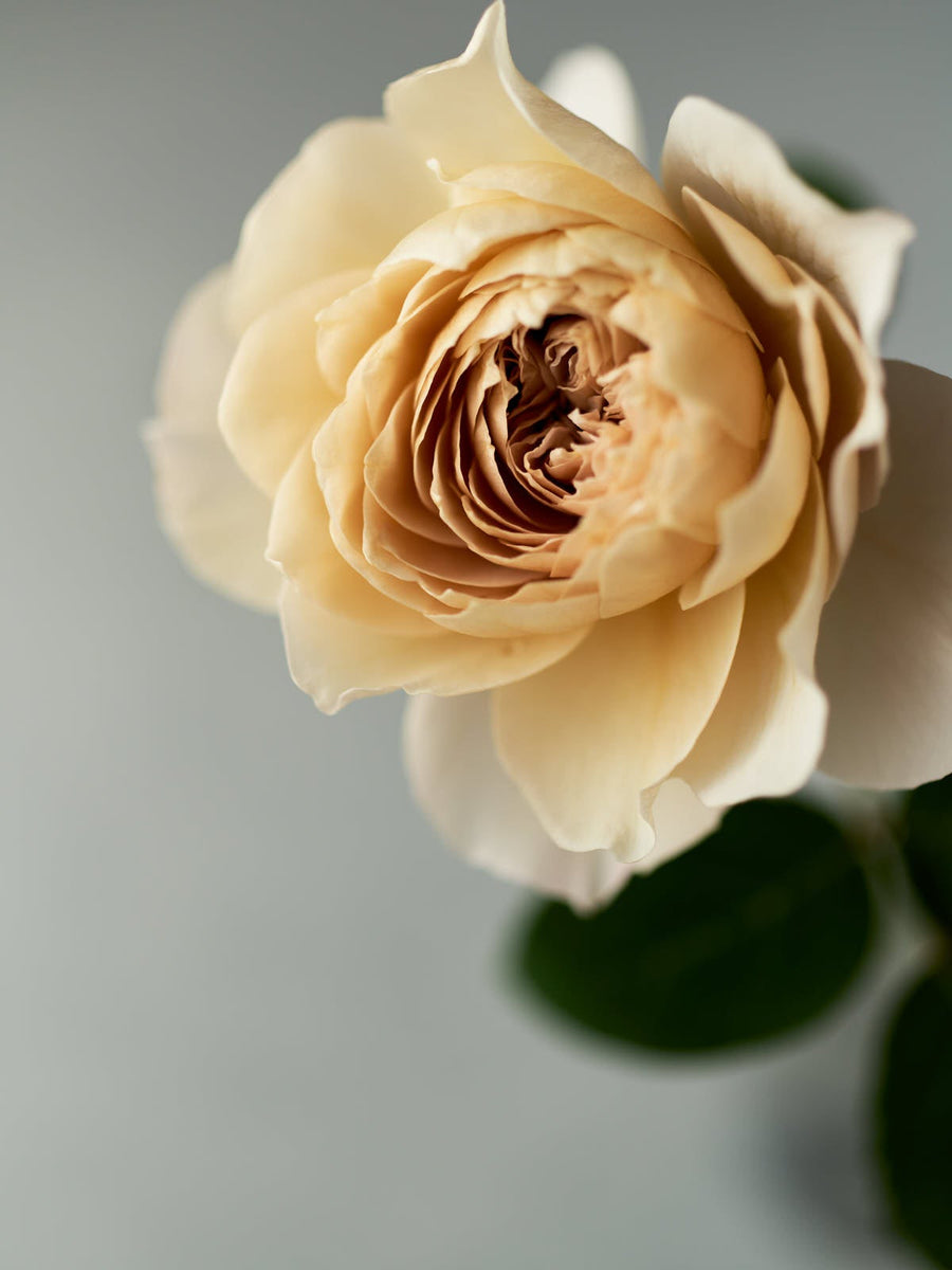 1561_47074cb2-409d-4647-81e1-