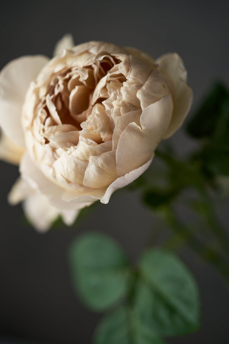 1573_59178804-6e4e-4090-9c23-