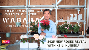 WABARA｜Rose Farm KEIJI – WABARA online store