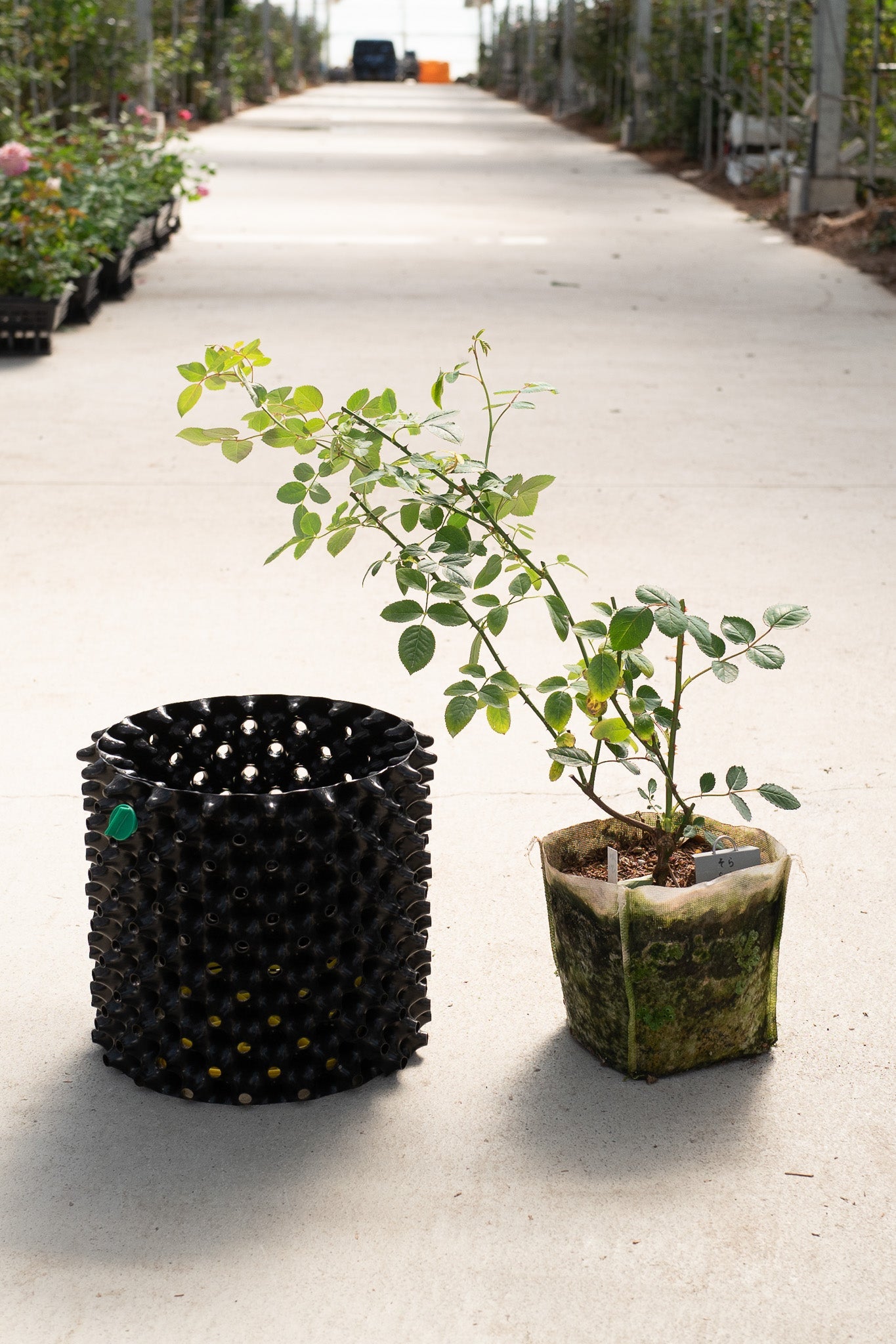 AIR-POT 7.5L（屋外用植木鉢）9号サイズ – WABARA online store