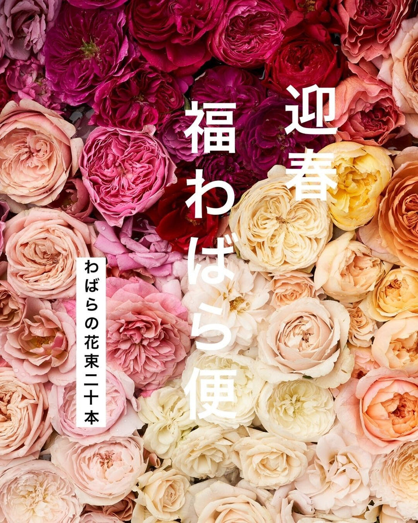 飾る – WABARA online store