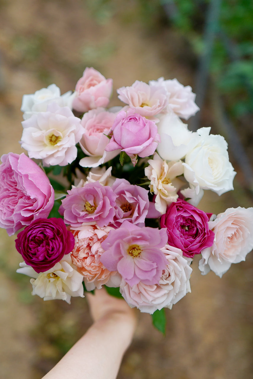 W Watrous】【純銀 / ガラス】薔薇のレリーフのコースター 8個