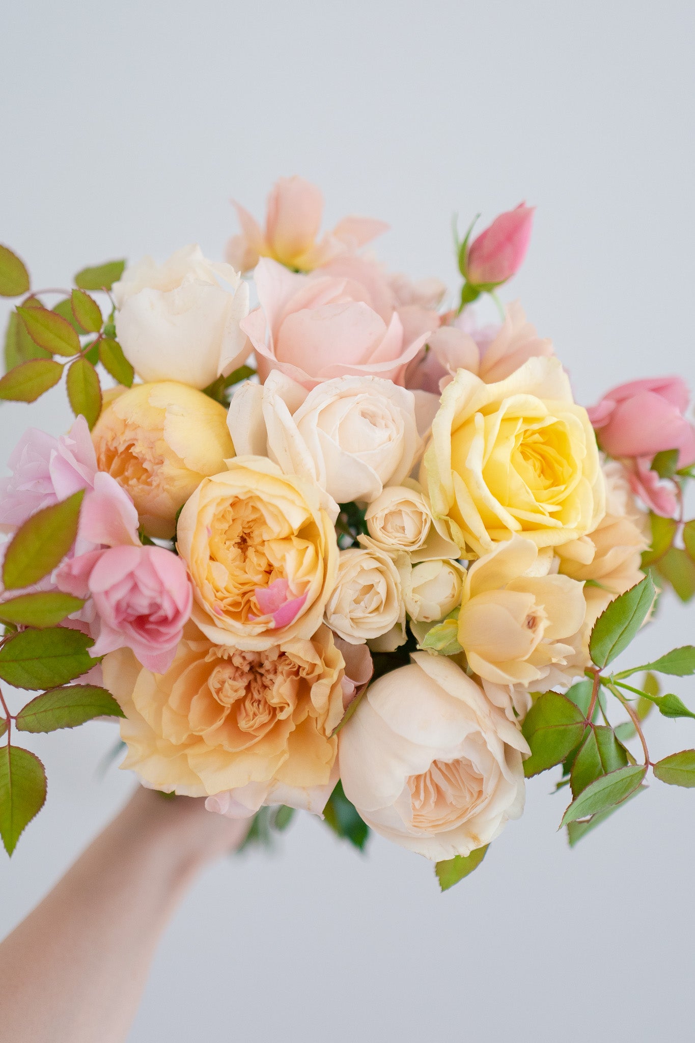 和バラ　あ○い 🌞本数UP中🌞】【7月1日〜31日お届け限定】Monthly Bouquet 七月