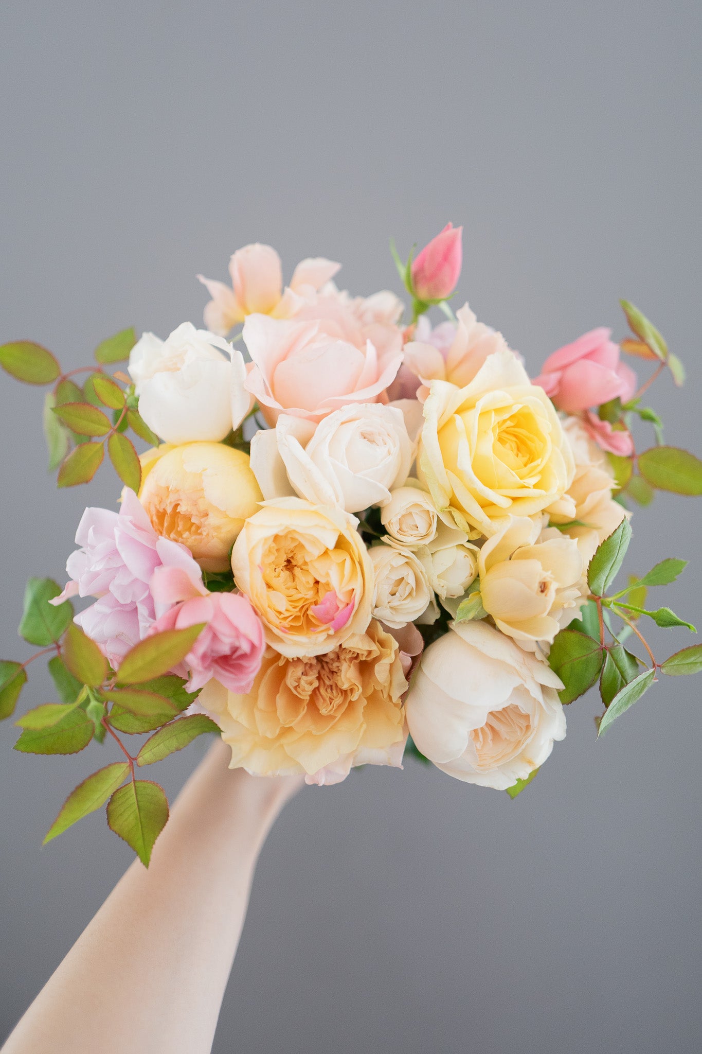 ばらここ ページ 🌞本数UP中🌞】【7月1日〜31日お届け限定】Monthly Bouquet 七月