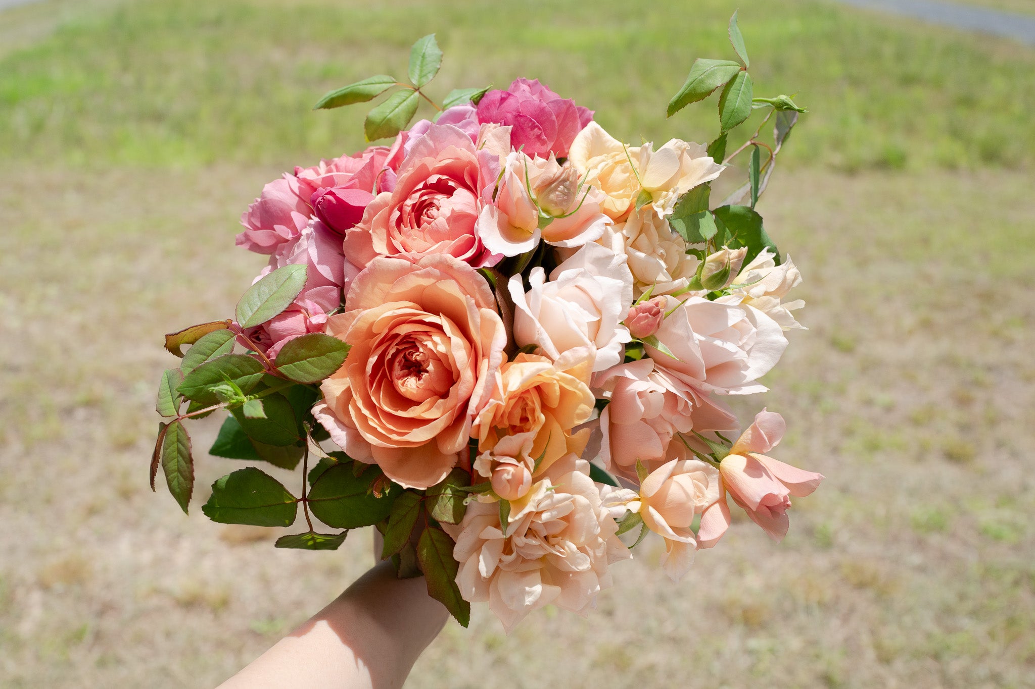 🌞本数UP中🌞】【7月1日〜31日お届け限定】Monthly Bouquet 七月