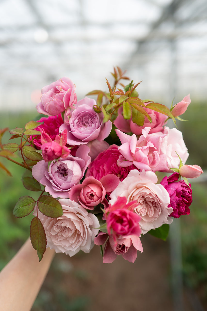 WABARA｜Rose Farm KEIJI – WABARA online store