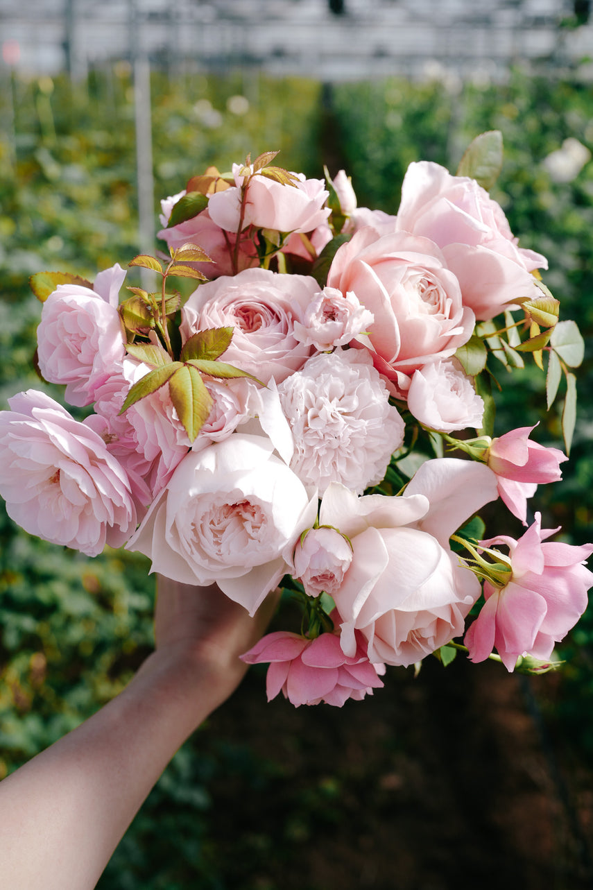 飾る – WABARA online store