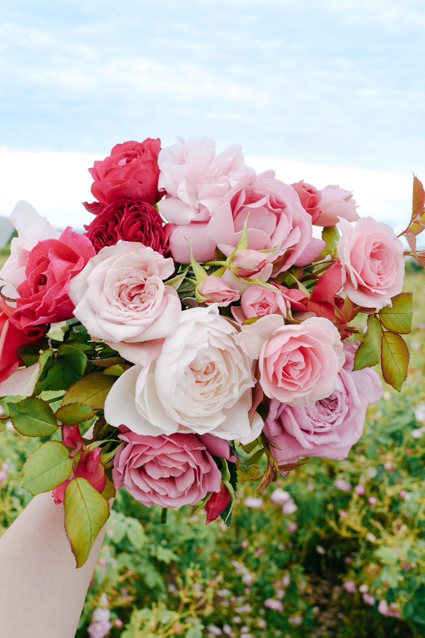 WABARA｜Rose Farm KEIJI – WABARA online store