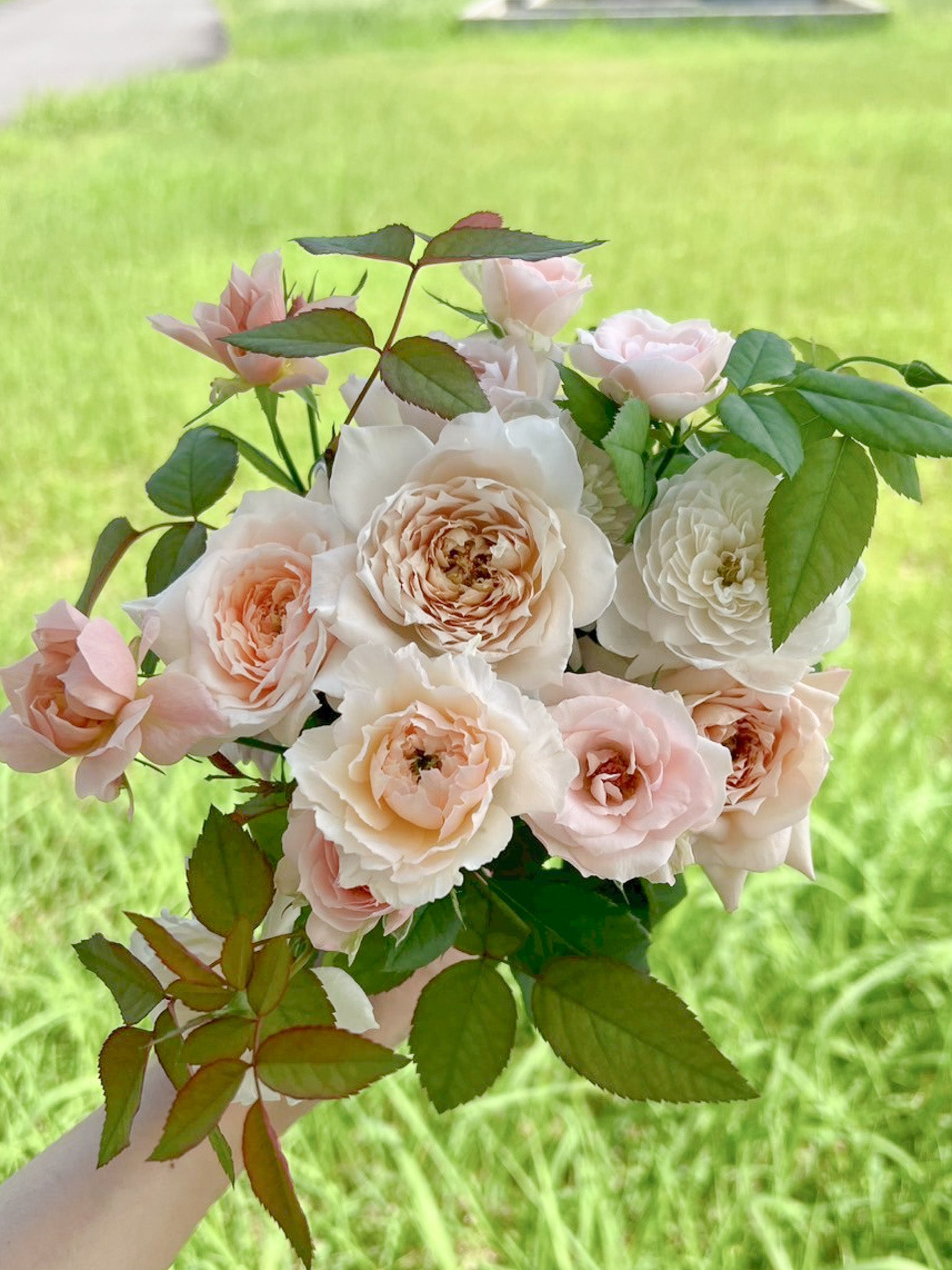 10月1日〜31日お届け限定】Monthly Bouquet 十月 喜びが重なる