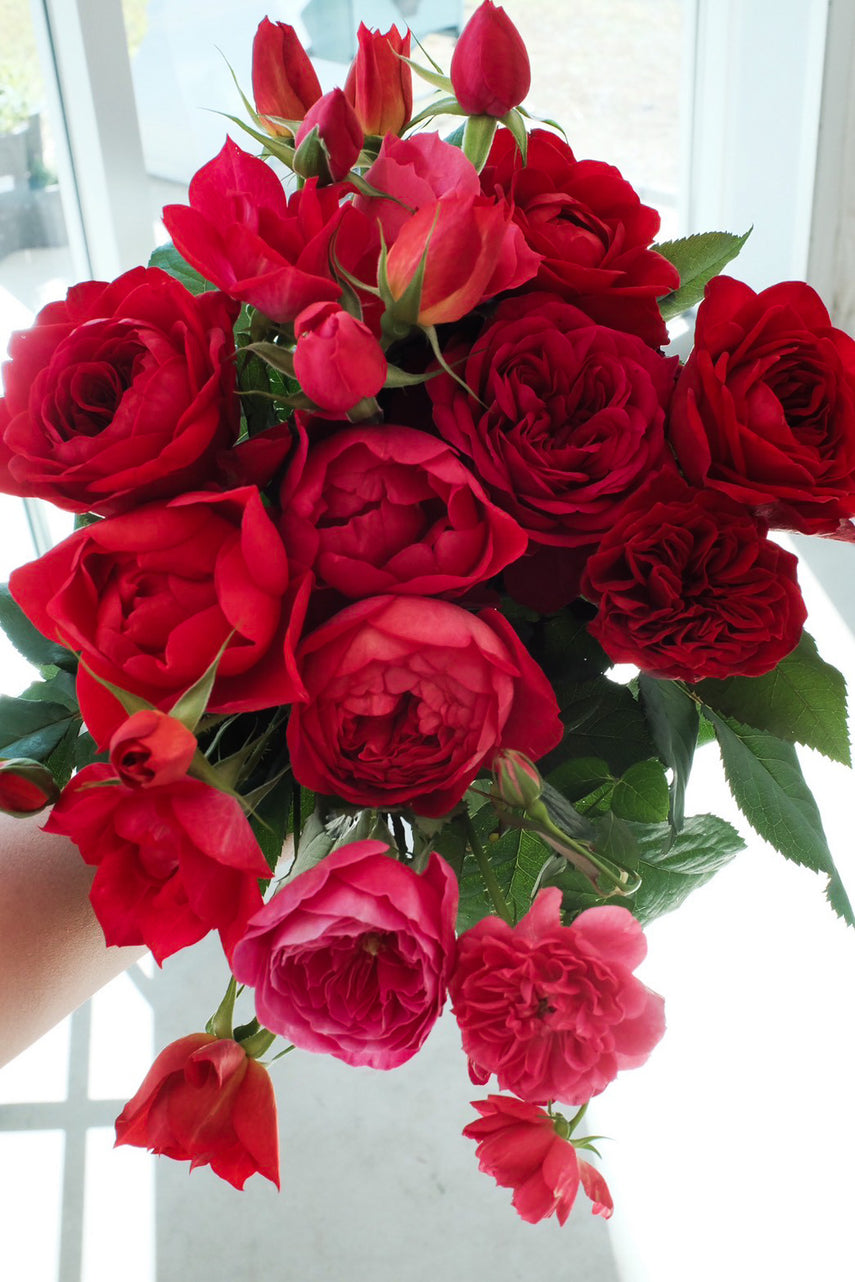 飾る – WABARA online store