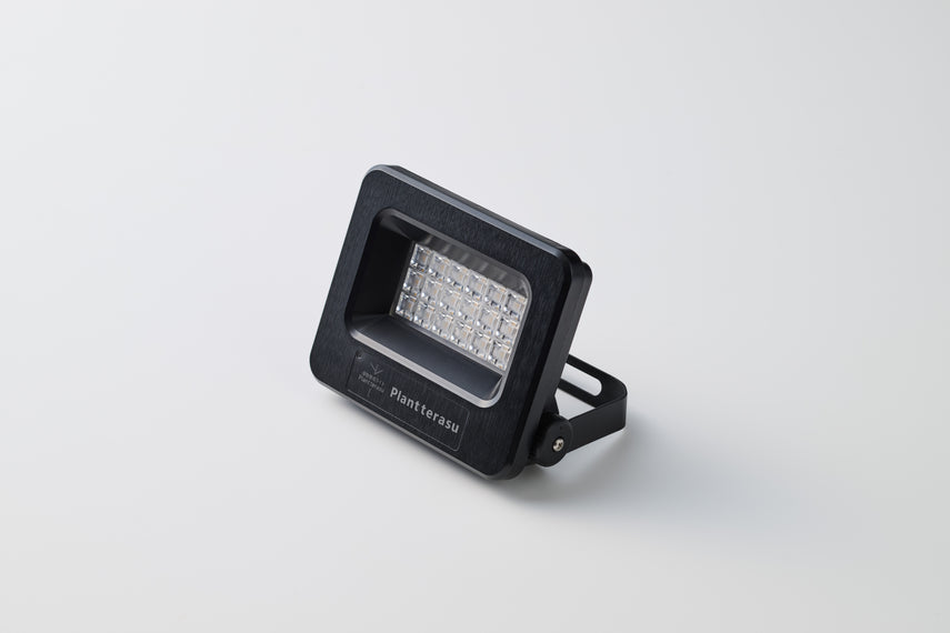 商品 – ページ 6 – WABARA online store