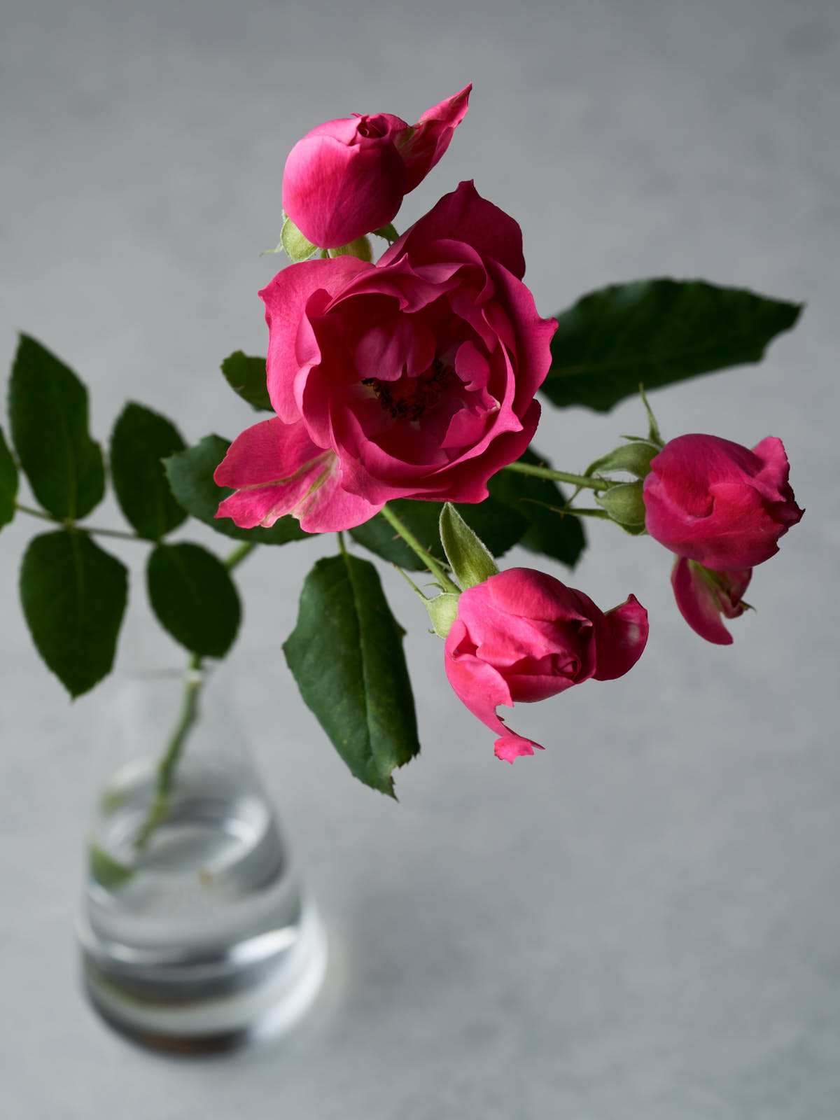 0978_4472x.jpg?v=1622270427