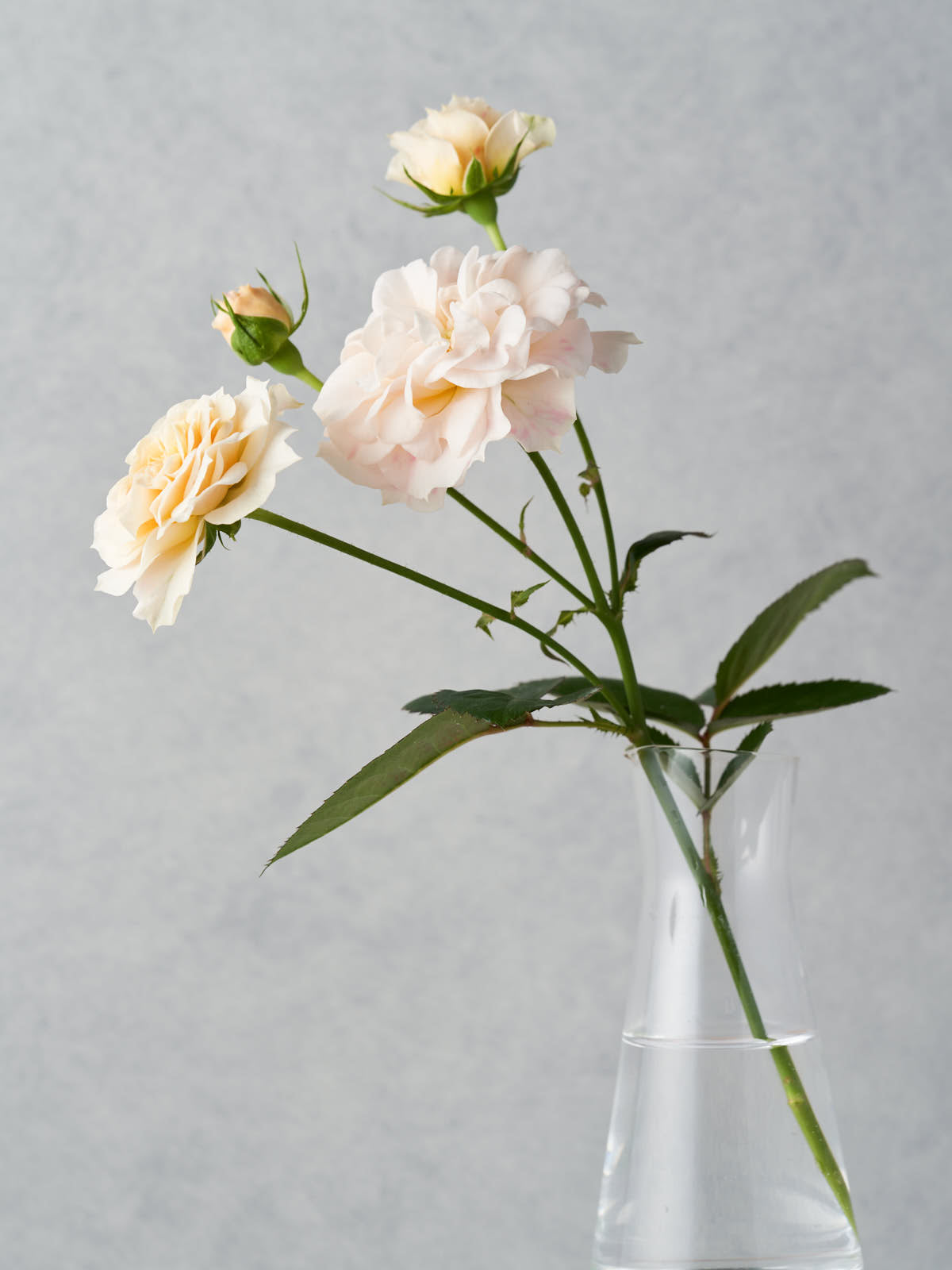 鴨居玲 花 バラ 薔薇 鑑定書なし normal_33ea9bb5-a60a-491f-a44a