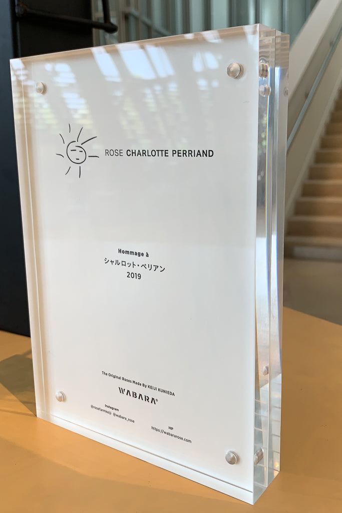 ROSE CHARLOTTE PERRIAND – WABARA online store