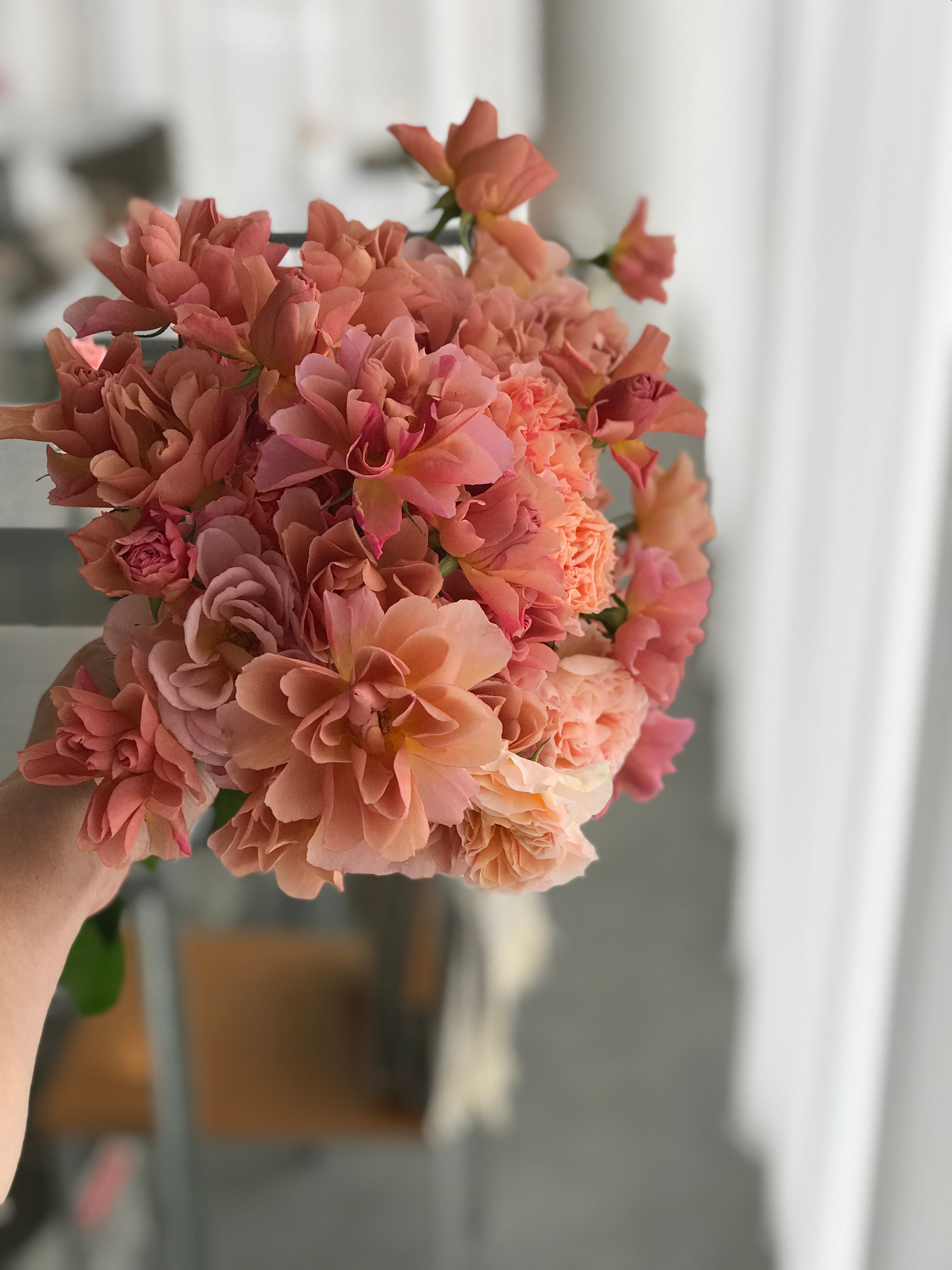 バラ　FS そら sola – WABARA online store