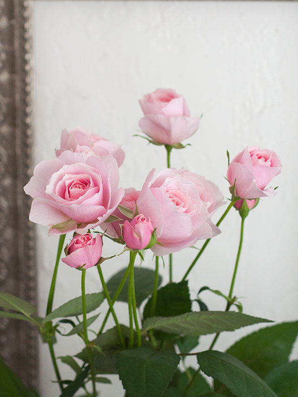 手毬 手鞠 てまり 刺繍薔薇の花束 No167ハンドメイド てまり temali