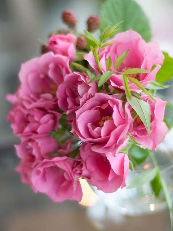 和花 waka – WABARA online store